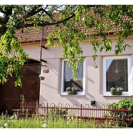 Ubytování U Trati Moravska Nova Ves Exterior foto