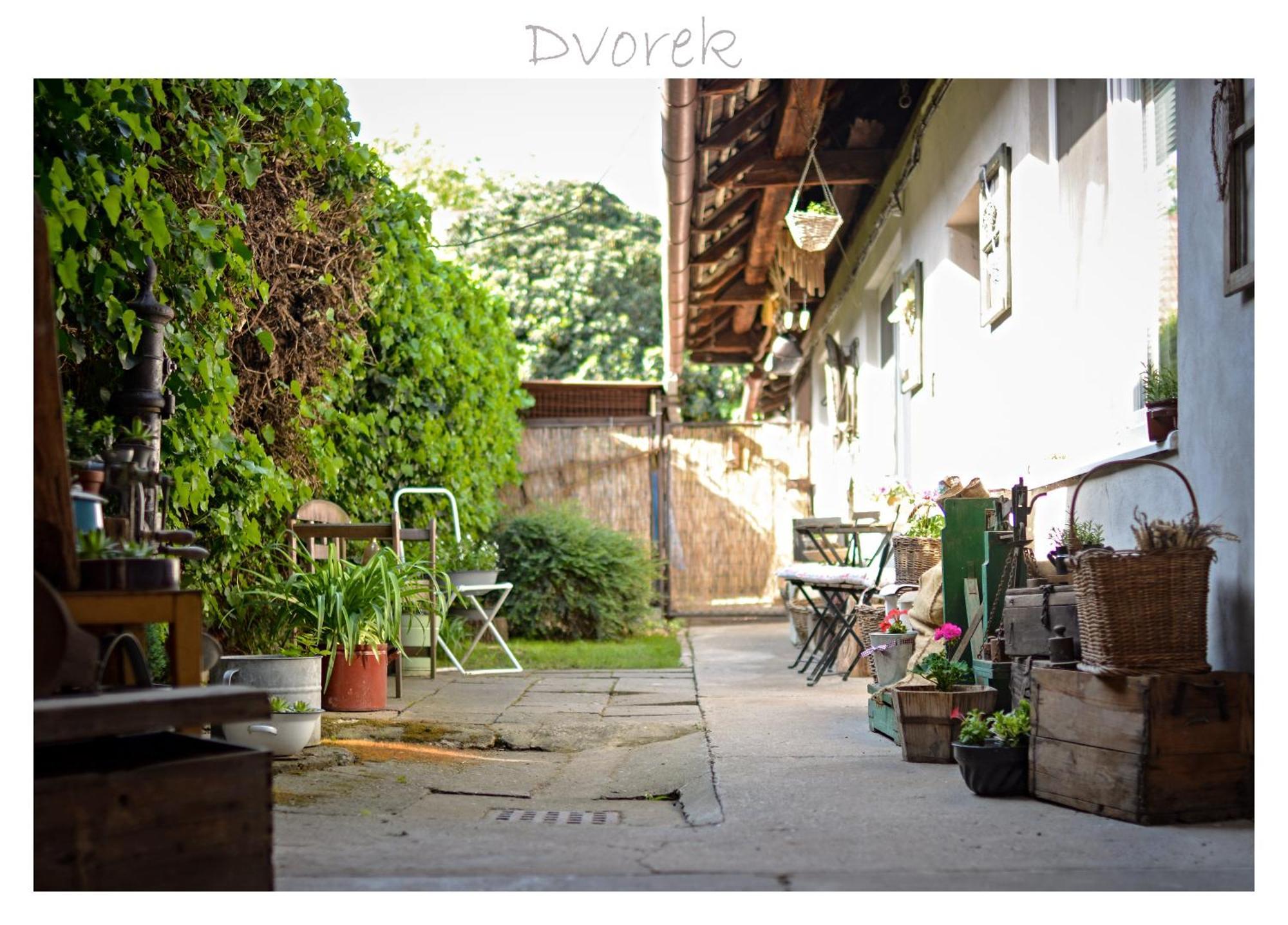 Ubytování U Trati Moravska Nova Ves Exterior foto